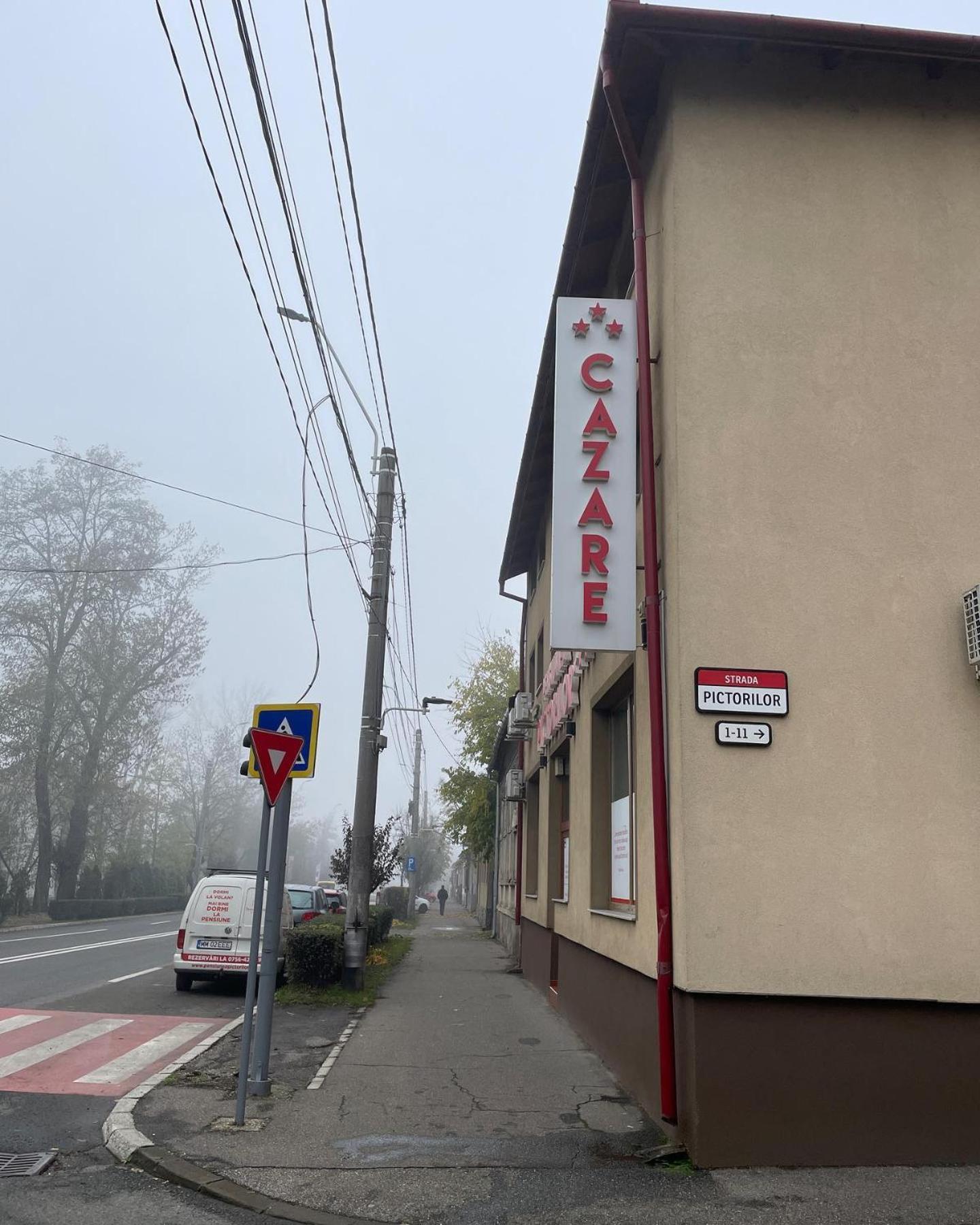 Pensiunea Pictorilor Baia Mare Luaran gambar