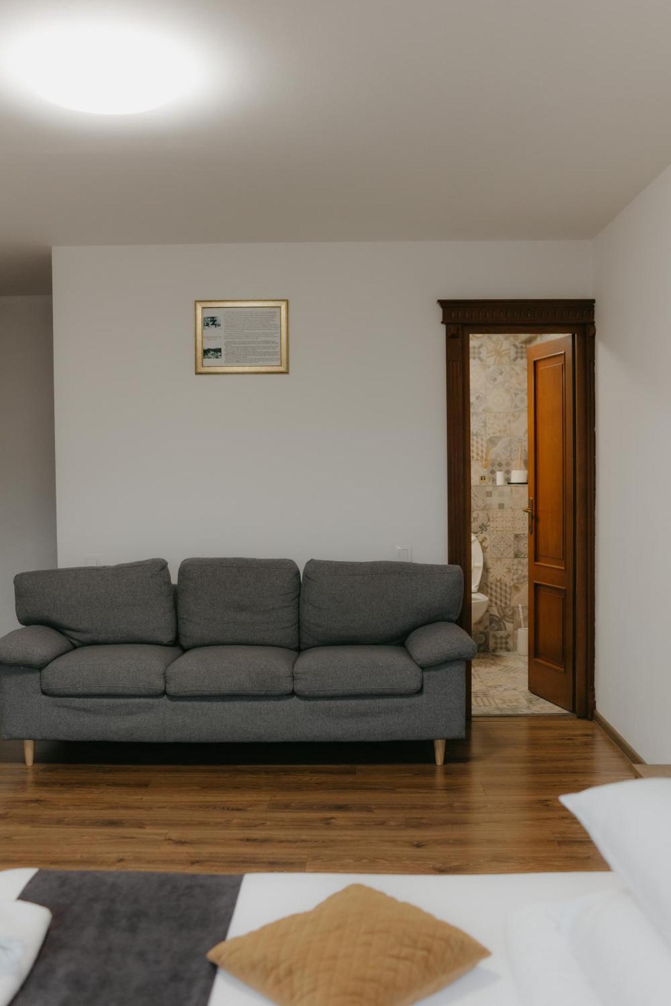 Pensiunea Pictorilor Baia Mare Luaran gambar