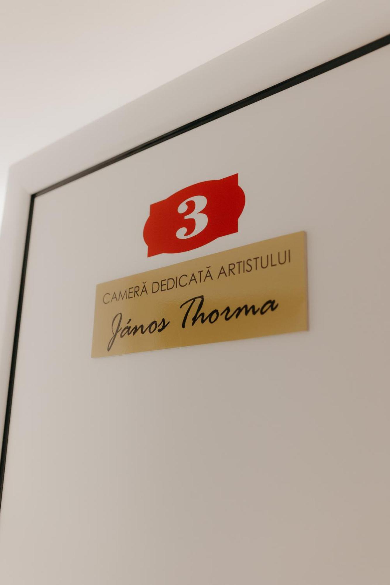 Pensiunea Pictorilor Baia Mare Luaran gambar